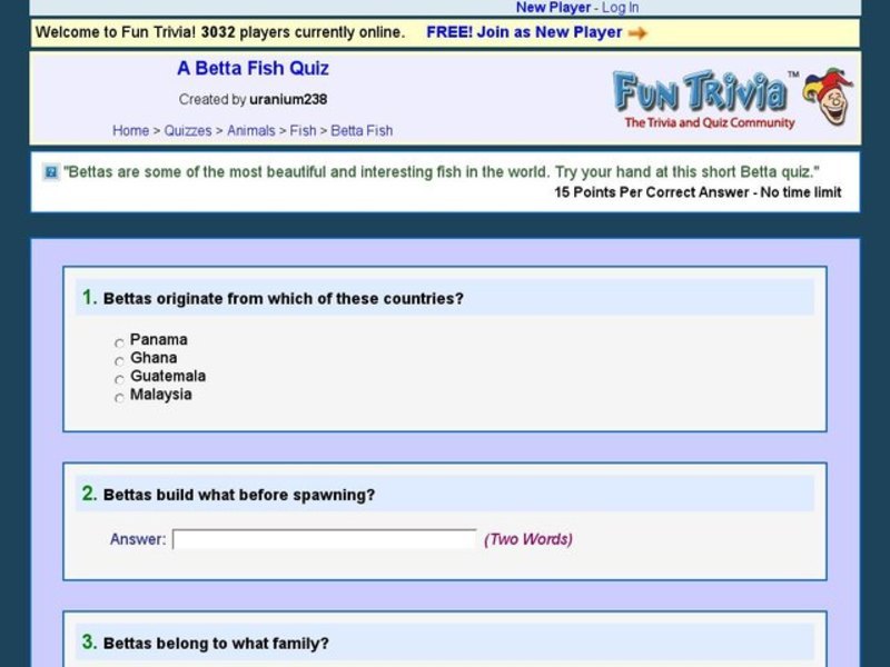A Betta Fish Quiz Interactive