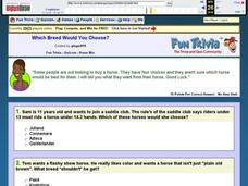 Which Breed Would You Choose? Horse Quiz Interactive