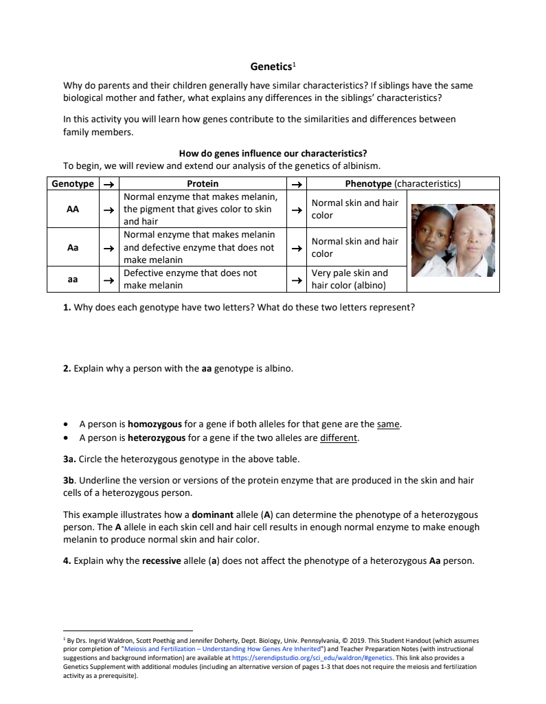Genetics Worksheet