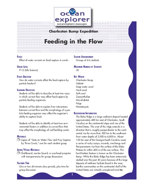 Feeding in the Flow Lesson Plan