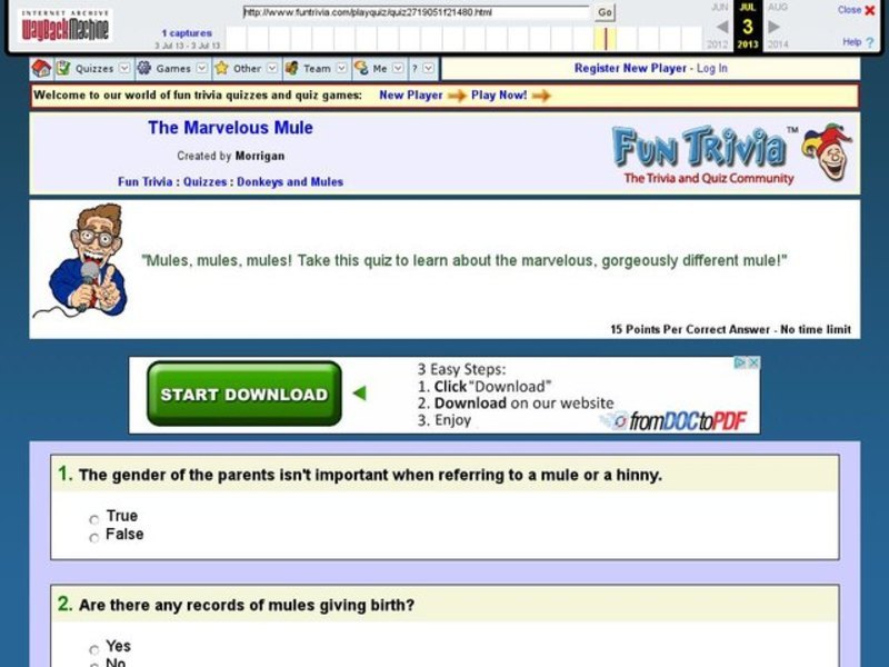 The Marvelous Mule Interactive