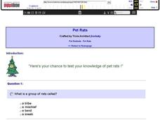 Pet Rats Interactive for 5th - 8th Grade | Lesson Planet