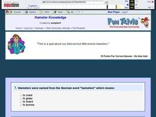 Hamster Knowledge Interactive
