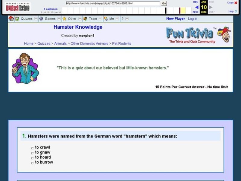 Hamster Knowledge Interactive