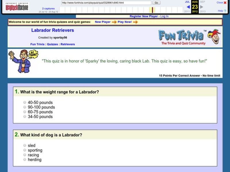 Labrador Retrievers Interactive