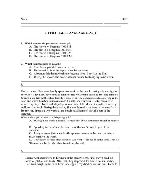 Fifth Grade Language Lesson Plan