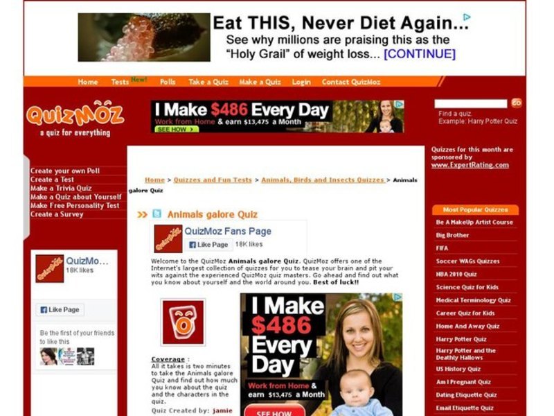 Animals Galore Quiz Interactive