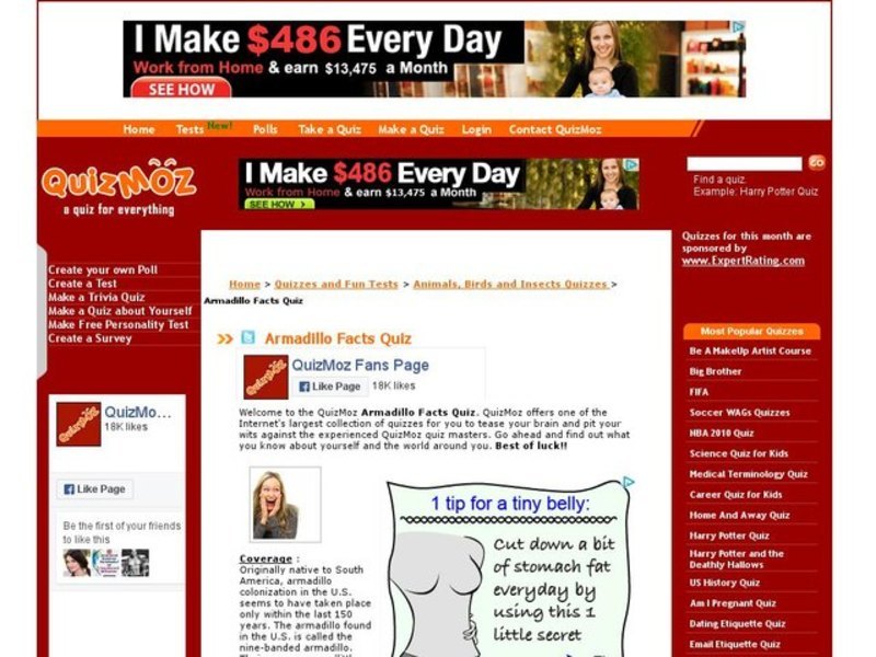 Armadillo Facts Quiz Interactive