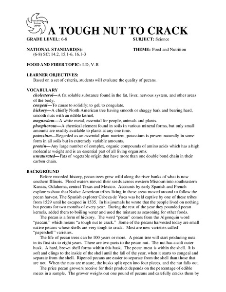 A TOUGH NUT TO CRACK Lesson Plan