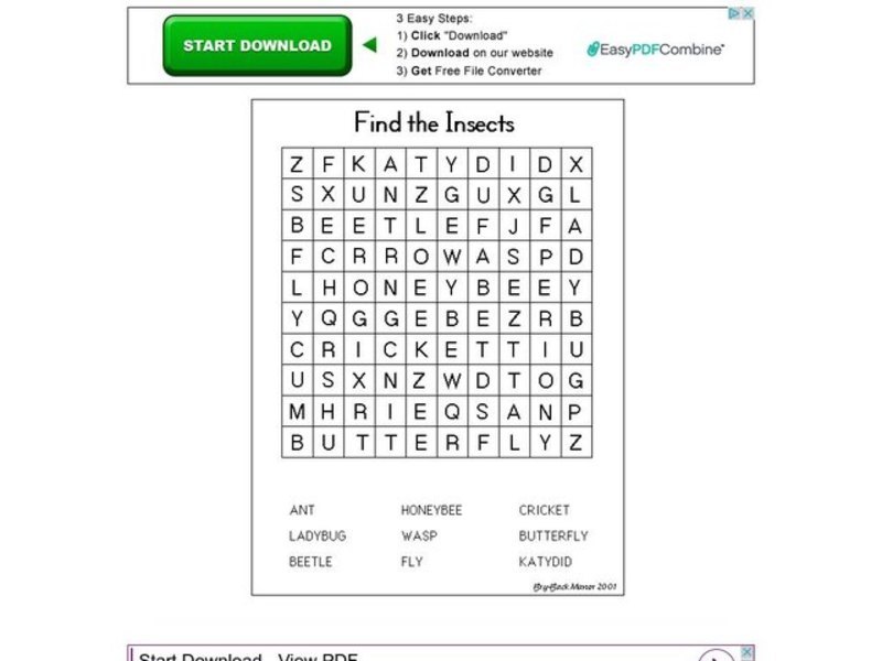 Find the Insects Worksheet
