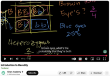 Introduction to Heredity Instructional Video
