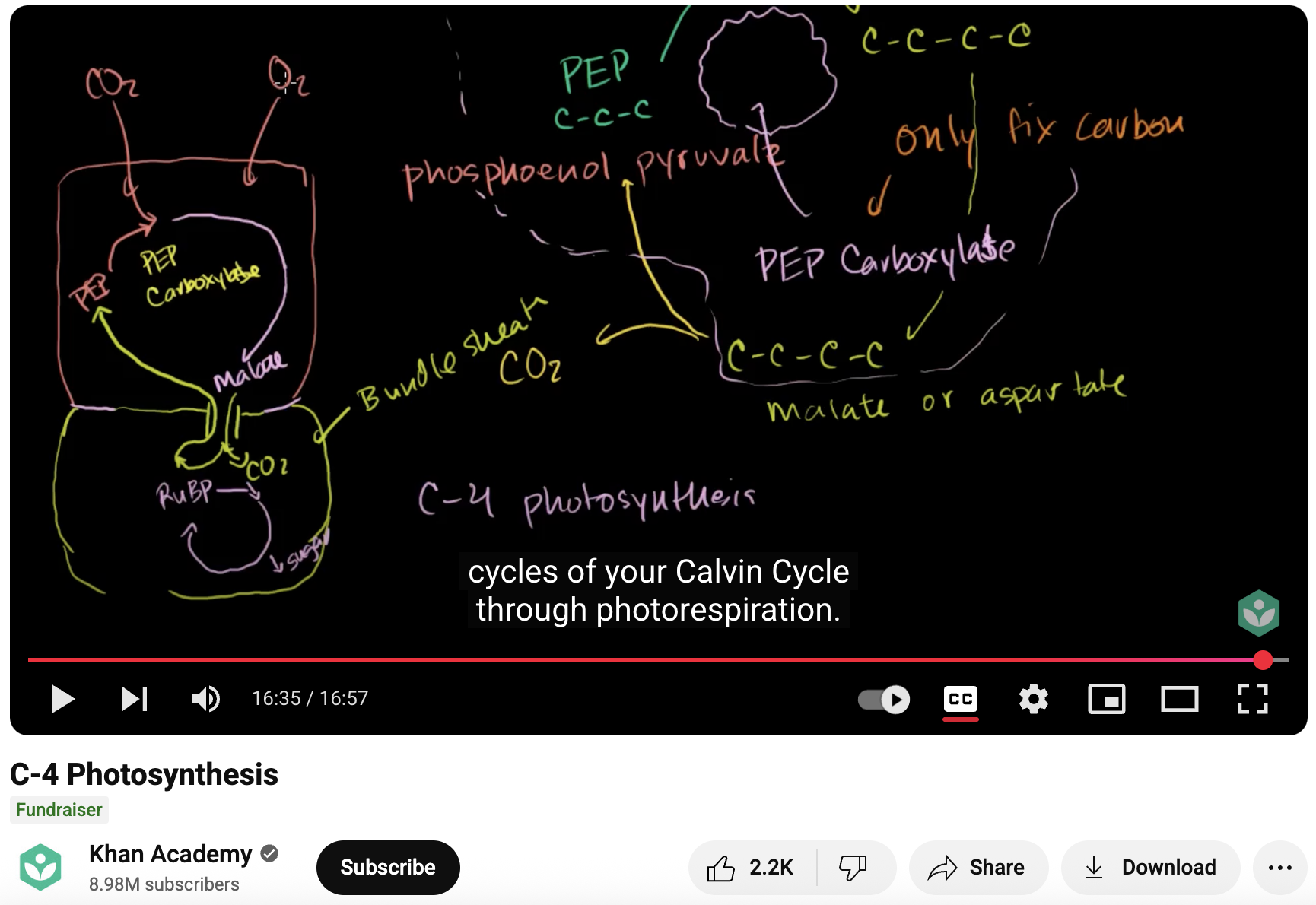C-4 Photosynthesis Instructional Video