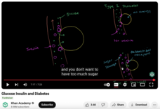 Glucose Insulin and Diabetes Instructional Video