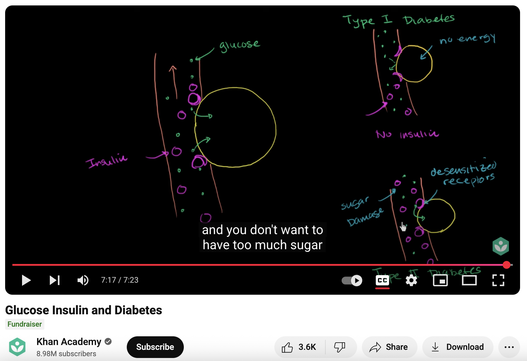Glucose Insulin and Diabetes Instructional Video
