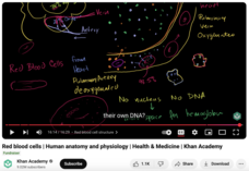Red Blood Cells, Human Anatomy and Physiology, Health and Medicine Instructional Video