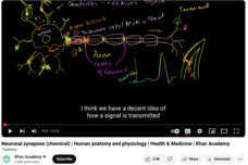 Neuronal Synapses (Chemical), Human Anatomy and Physiology, Health and Medicine Instructional Video