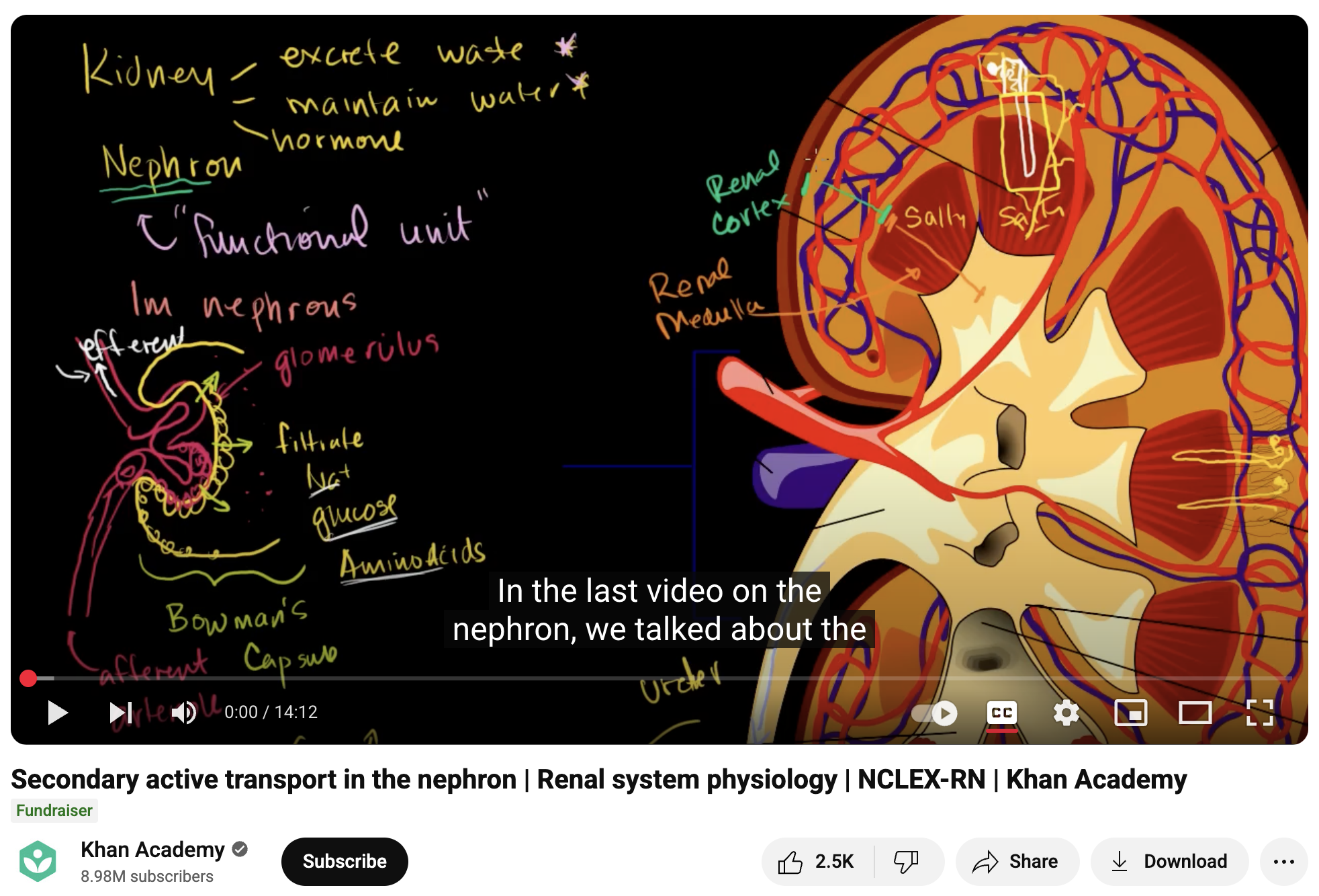 Secondary Active Transport in the Nephron, Renal System Physiology, NCLEX-RN Instructional Video