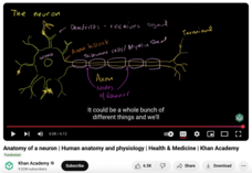 Anatomy of a Neuron, Human Anatomy and Physiology, Health & Medicine Instructional Video