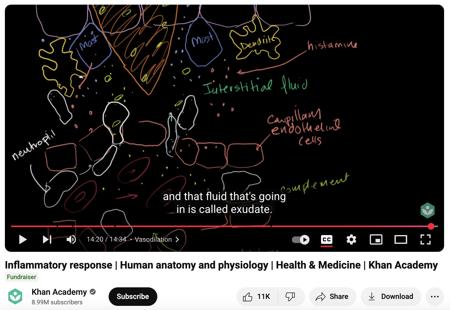 Inflammatory Response, Human Anatomy and Physiology, Health and Medicine Instructional Video