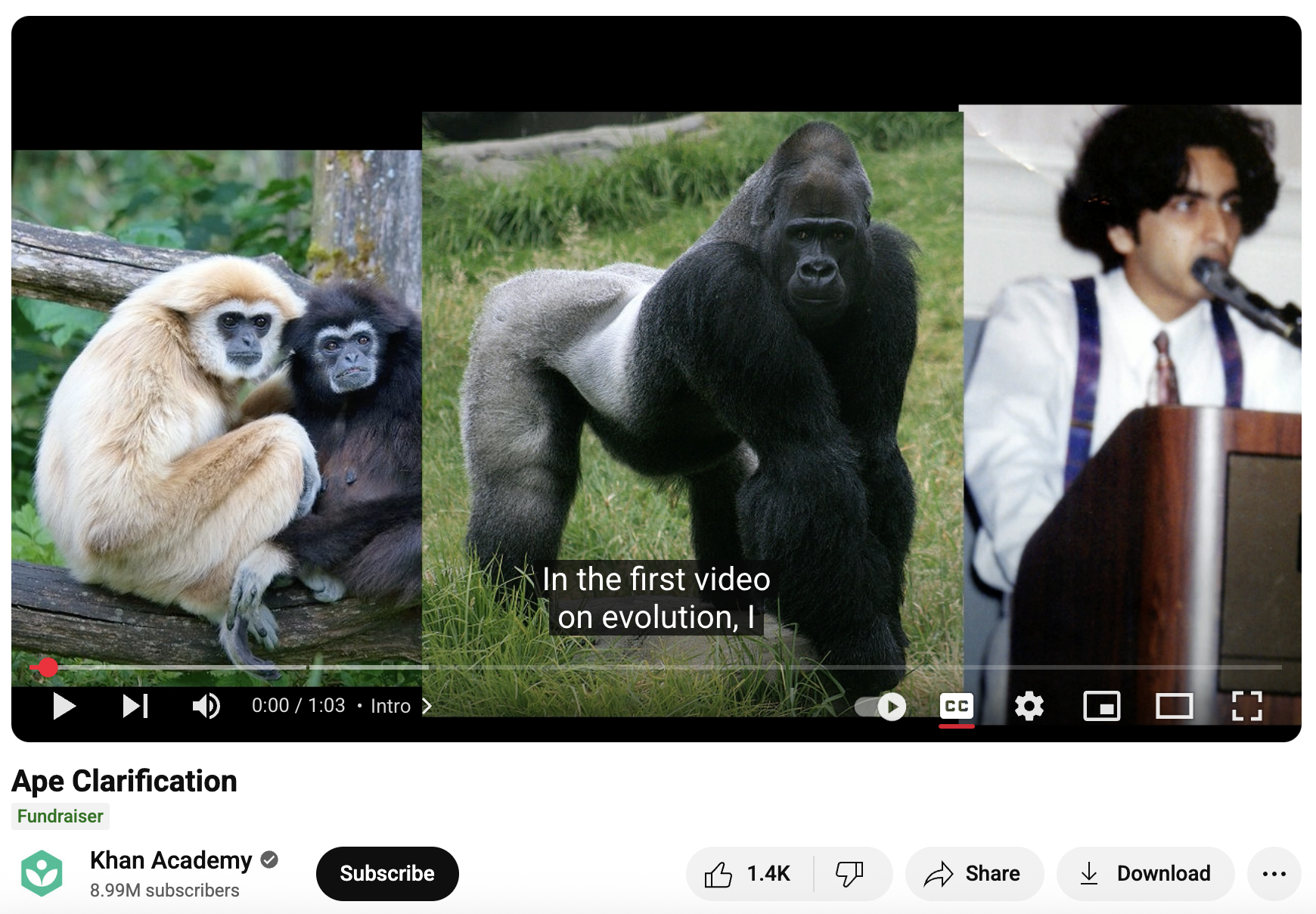 Ape Clarification Instructional Video