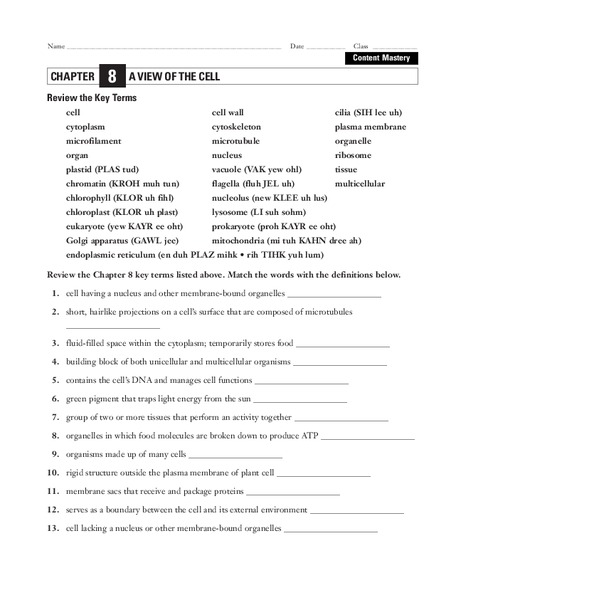 A View of the Cell Worksheet