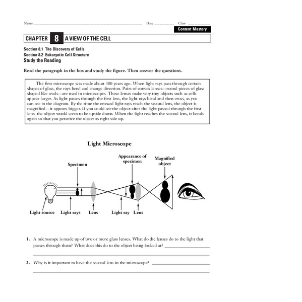A View of the Cell Worksheet