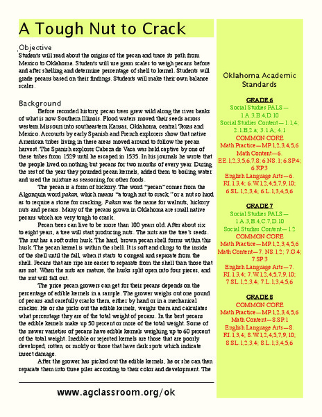 A Tough Nut to Crack Lesson Plan