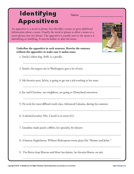 Identifying Appositives Worksheet