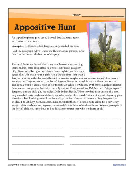 Appositive Hunt Worksheet