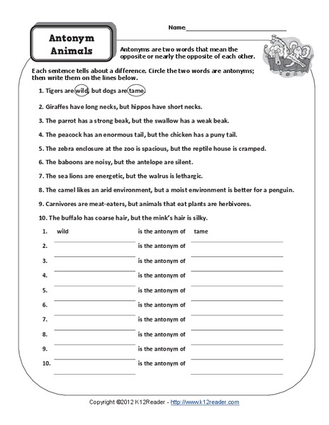 Antonym Animals Worksheet
