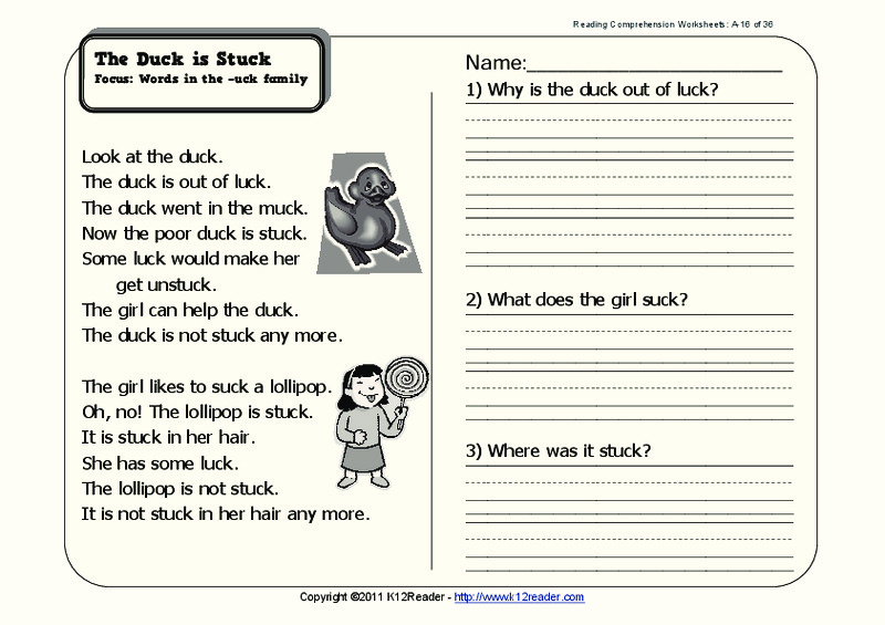 The Duck is Stuck Worksheet