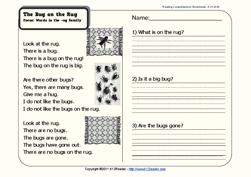 The Bug on the Rug Worksheet