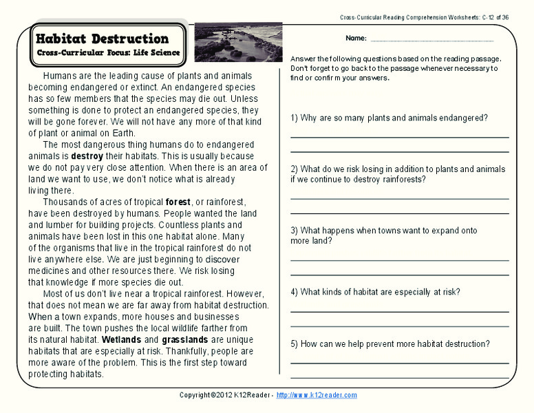 Habitat Destruction Worksheet