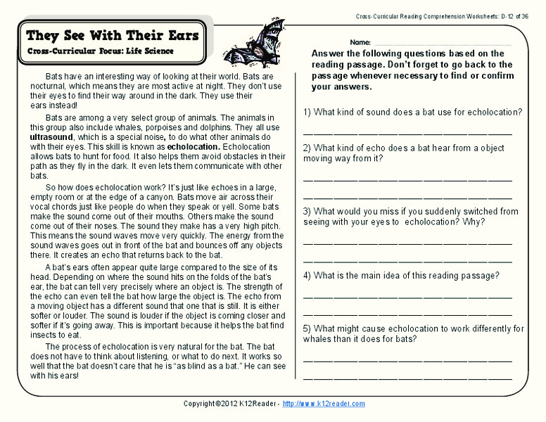 They See with Their Ears Worksheet