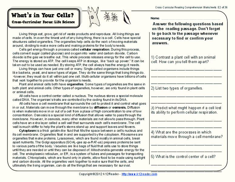 What’s in Your Cells? Worksheet