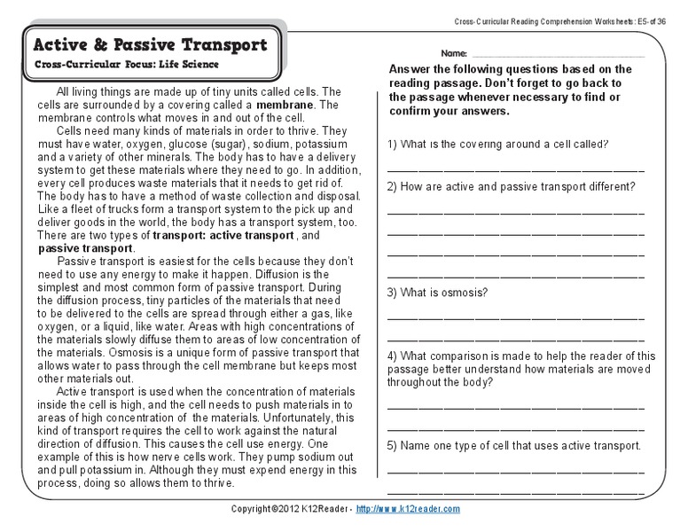 Active and Passive Transport Worksheet