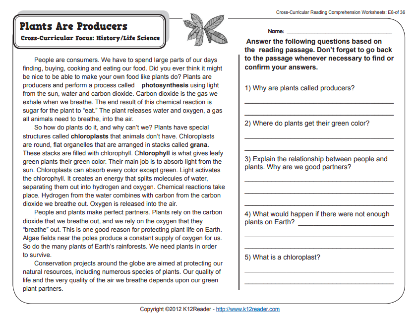 Plants Are Producers Worksheet