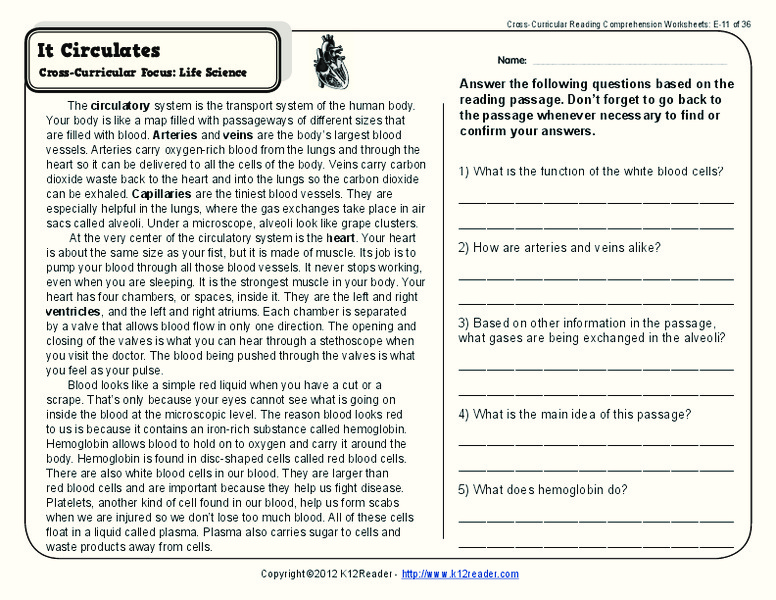 It Circulates Worksheet