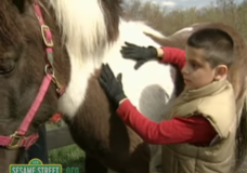 Elmo's World: Horses Instructional Video