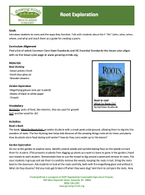 Root Exploration Lesson Plan