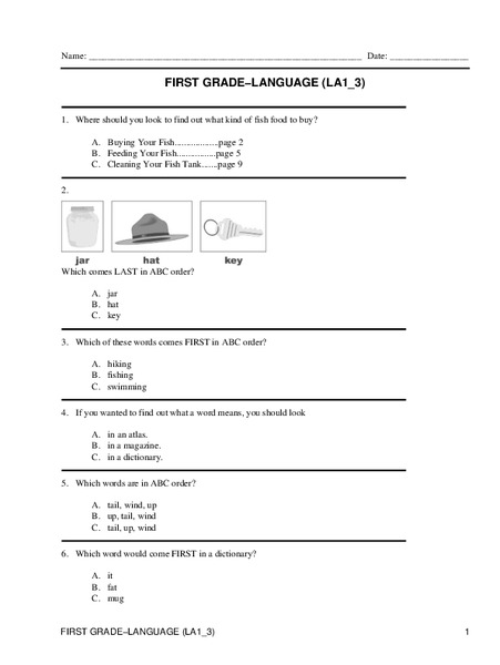 First Grade Language Lesson Plan
