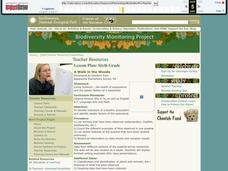 A Walk in the Woods Lesson Plan