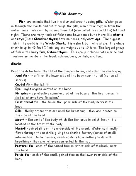 Fish Anatomy Worksheet