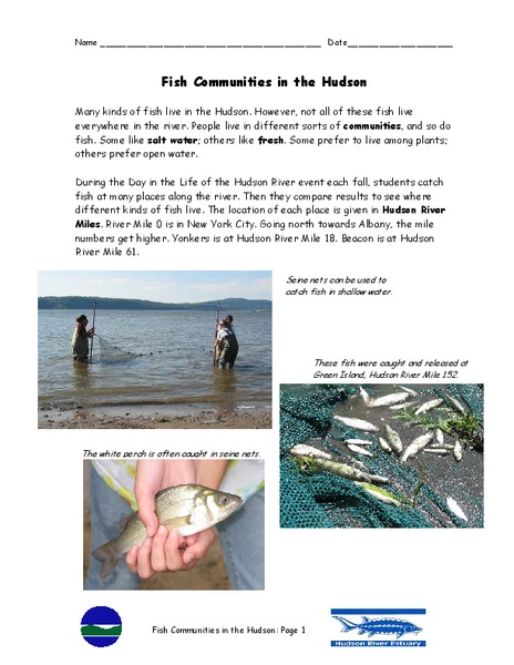Fish Communities in the Hudson Worksheet