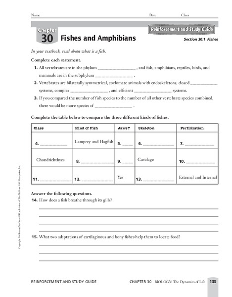 Fishes Worksheet