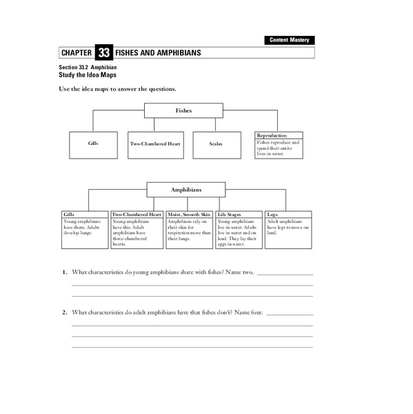 Fishes and Amphibians Worksheet