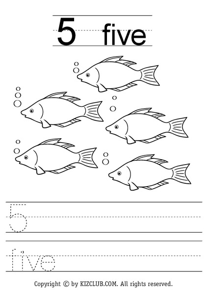 Five Worksheet