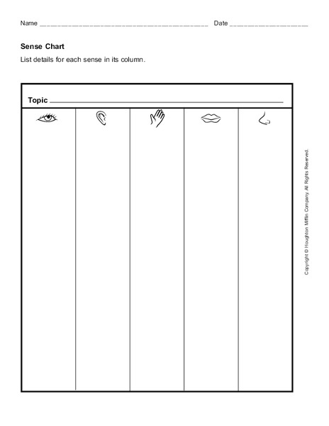 Five Senses Organizer