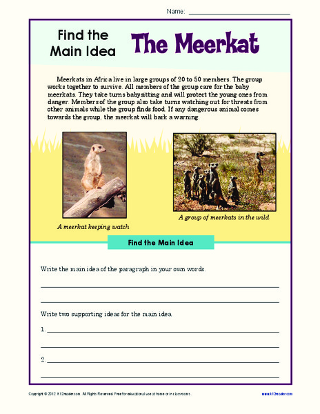 Find the Main Idea: The Meerkat Worksheet