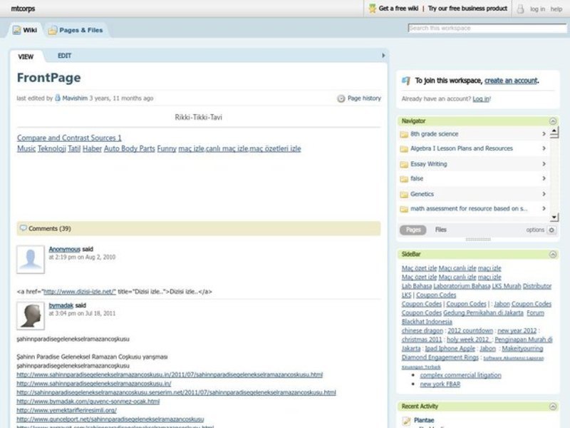 Five-Paragraph Essay Lesson Plan